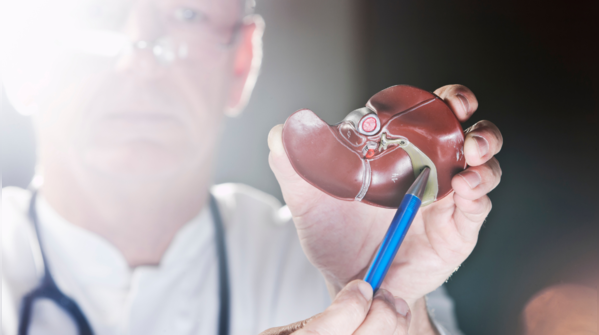 What is the role of the gall bladder?