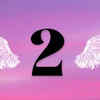 2 (Those born on the 2nd, 11th, 20th or 29th of any given month, are ruled by the Numerology number 2)