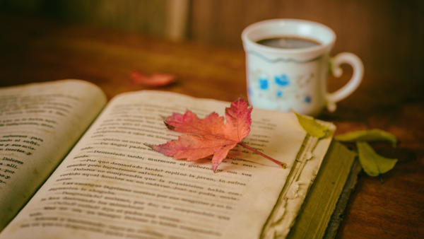 Nicholas Sparks Photos