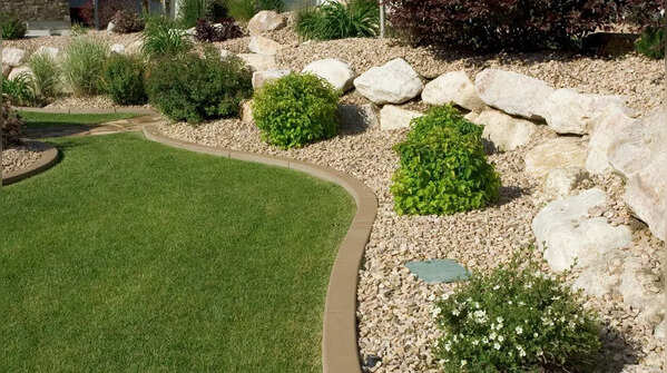 How can you snake-proof your yard?