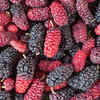 Mulberries