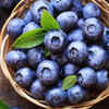 Blueberries