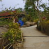 Mawlynnong, Meghalaya
