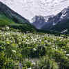 Valley of Flowers, Uttarakhand
