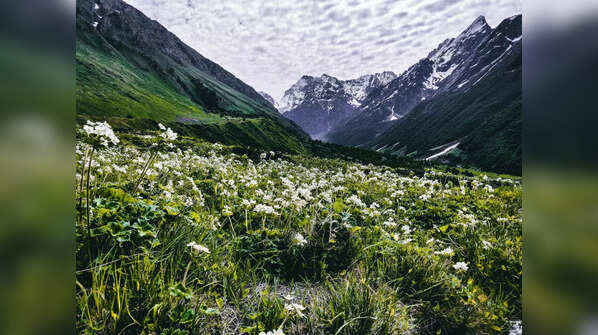 Valley of Flowers, Uttarakhand