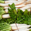 Mooli greens
