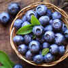Berries