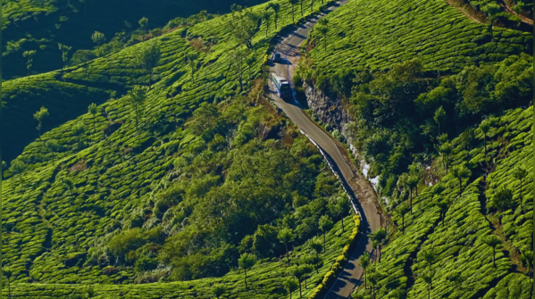 Munnar, Kerala