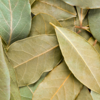 Bay leaves