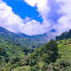 Coonoor, Tamil Nadu