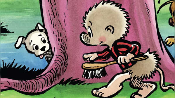 Pogo Possum
