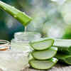 Aloe vera and olive oil hair mask
