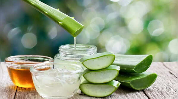 Aloe vera and olive oil hair mask