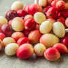 Karonda (Bengal Currant)