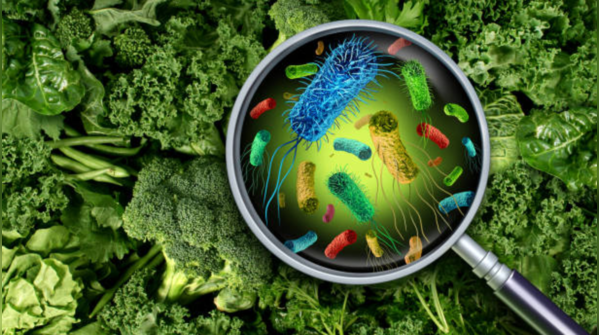 What is flesh-eating bacteria?