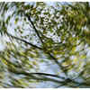Lightheadedness or Dizziness