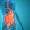 The science of digestion in monsoon