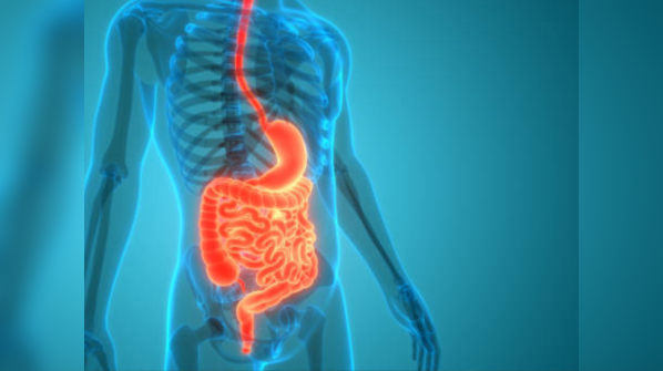 The science of digestion in monsoon
