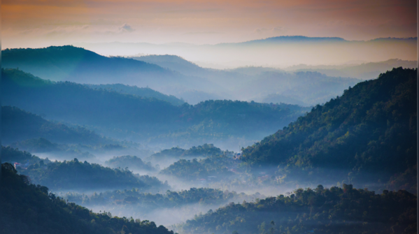 Munnar, Kerala