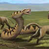 Laophis crotaloides