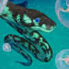 Palaeophis toliapicus