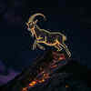 ​Capricorn: The master planner