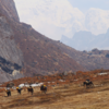 Goechala, Sikkim