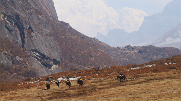 Goechala, Sikkim