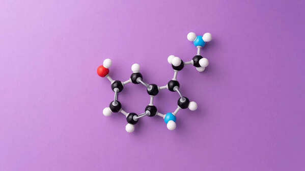 Love releases feel-good neurochemicals