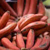 Red banana