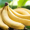 Cavendish banana