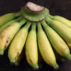 Lady finger banana (Pisang mas)