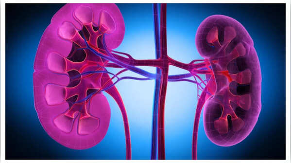 5 early signs of slow kidney function