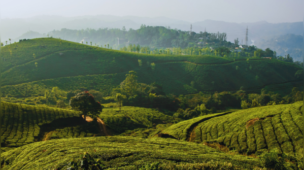 Punalur to Sengottai (Kerala–Tamil Nadu)