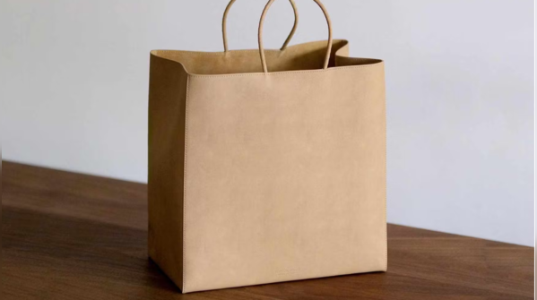 Bottega Veneta Brown Bag