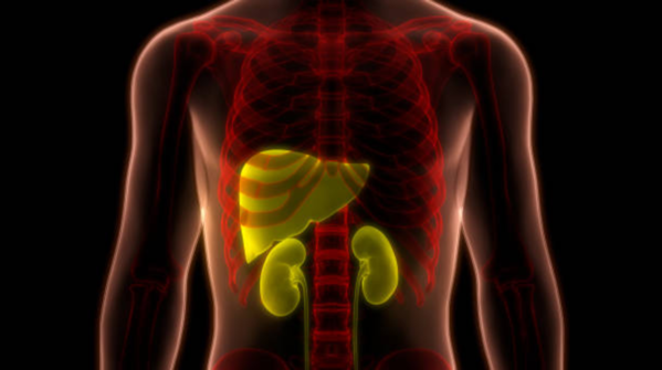 Upper right abdominal discomfort