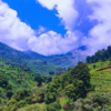 Coonoor, Tamil Nadu