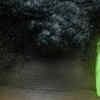 Darkened skin 