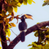 Eco-friendly and responsible tourism