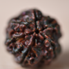 Mythological history behind the meaning of Rudraksha
