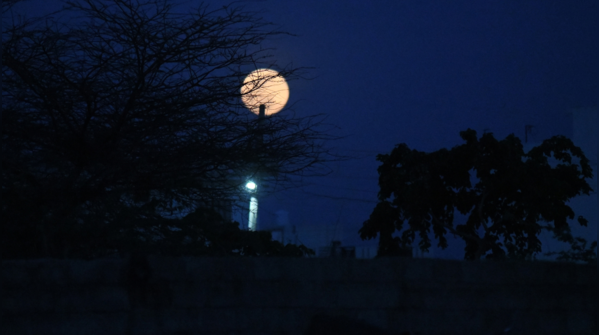 Sharad Purnima
