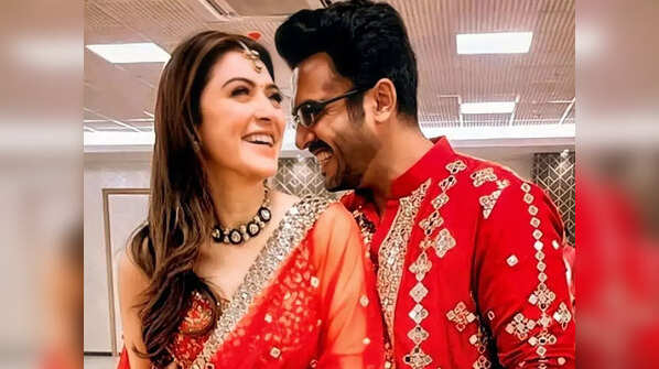 Have Hansika Motwani & Sohael Kathuriya decided to separate?