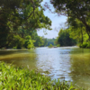 Wayanad’s Ku​ruva Island, Kerala