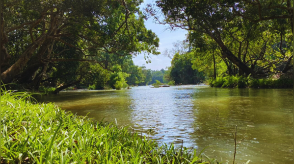 Wayanad’s Kuruva Island, Kerala