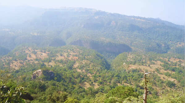 Patalkot, Madhya Pradesh