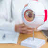 Hypertensive Retinopathy