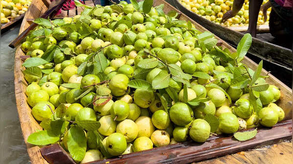 Nutritional profile of guava