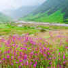 Valley of Flowers, Uttarakhand