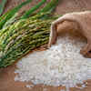 Rice Flour