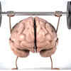 Helps in brain development
